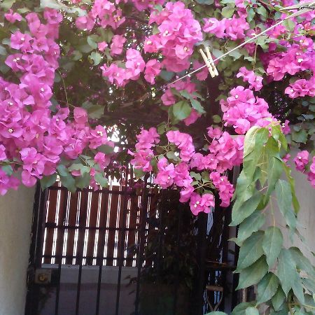 산티아고 Alojamiento Alberto Magno B&B 외부 사진