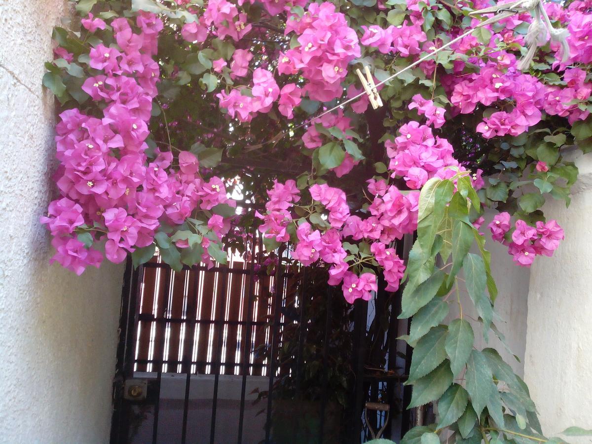 산티아고 Alojamiento Alberto Magno B&B 외부 사진
